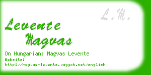 levente magvas business card